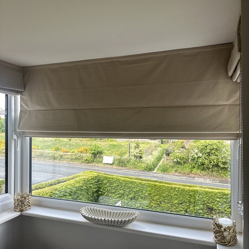 Canterbury velvet cream - canterbury,